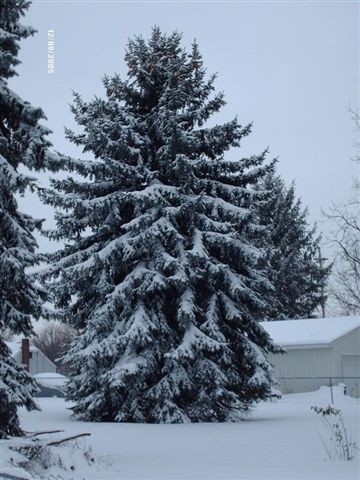 NEWS FROM ONE OF OUR READERS A Typical Winter Day in Michigan archive photo