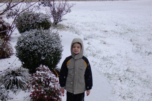 Snow - North AL, Dec. 11, 2008 archive photo