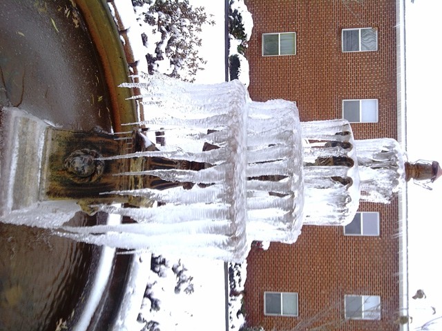 WHITE CHRISTMAS IN ALABAMA photo