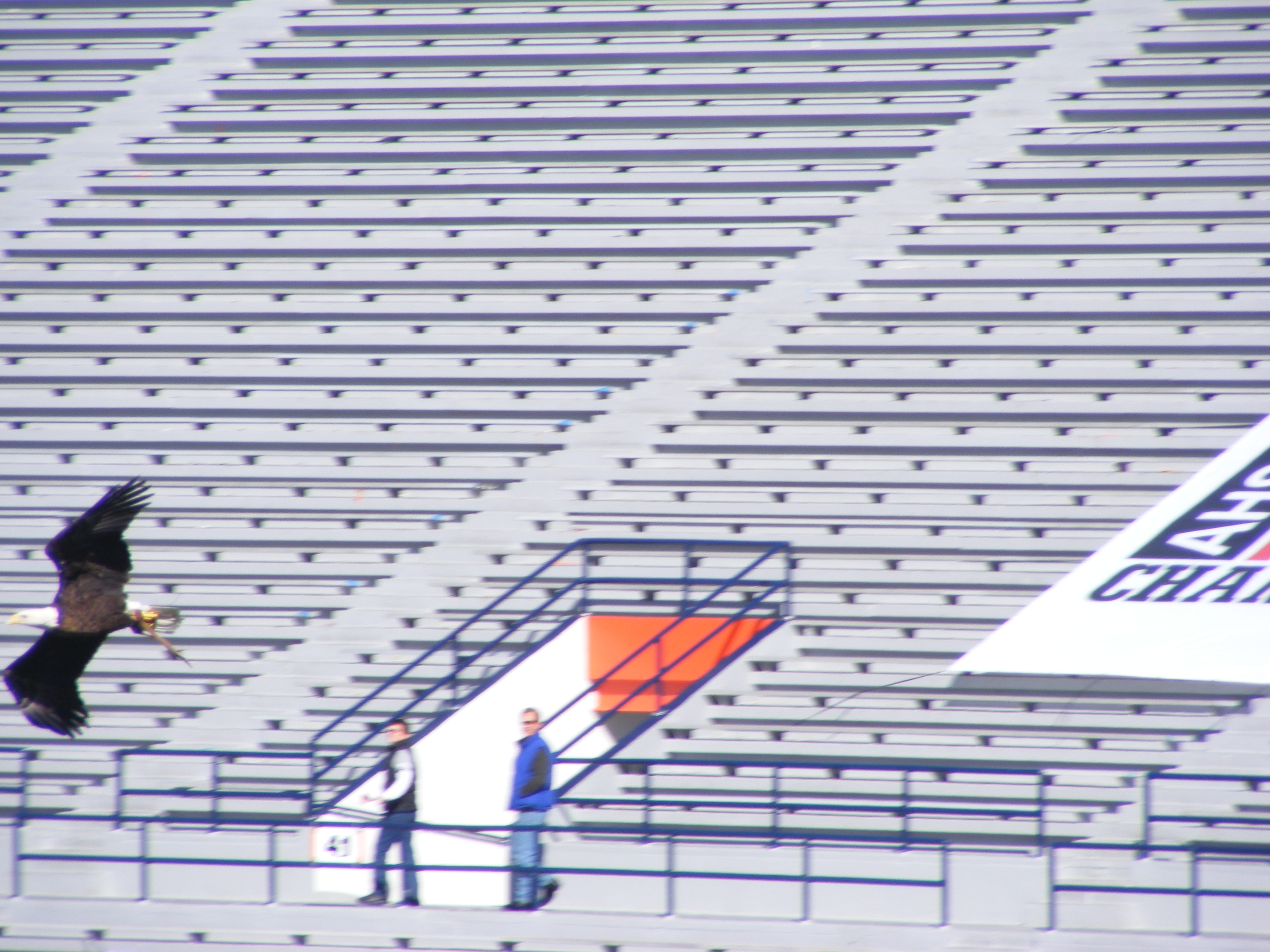 Thursday, DEC. 2, 2010 GOOD JOB AGGIES!!! photo 2 of 11